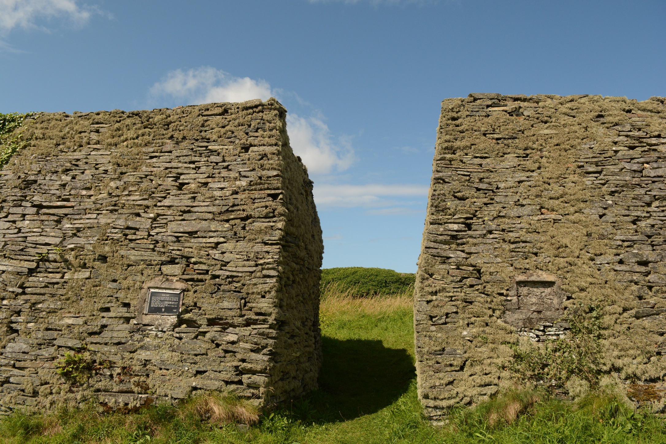 Irish Fort