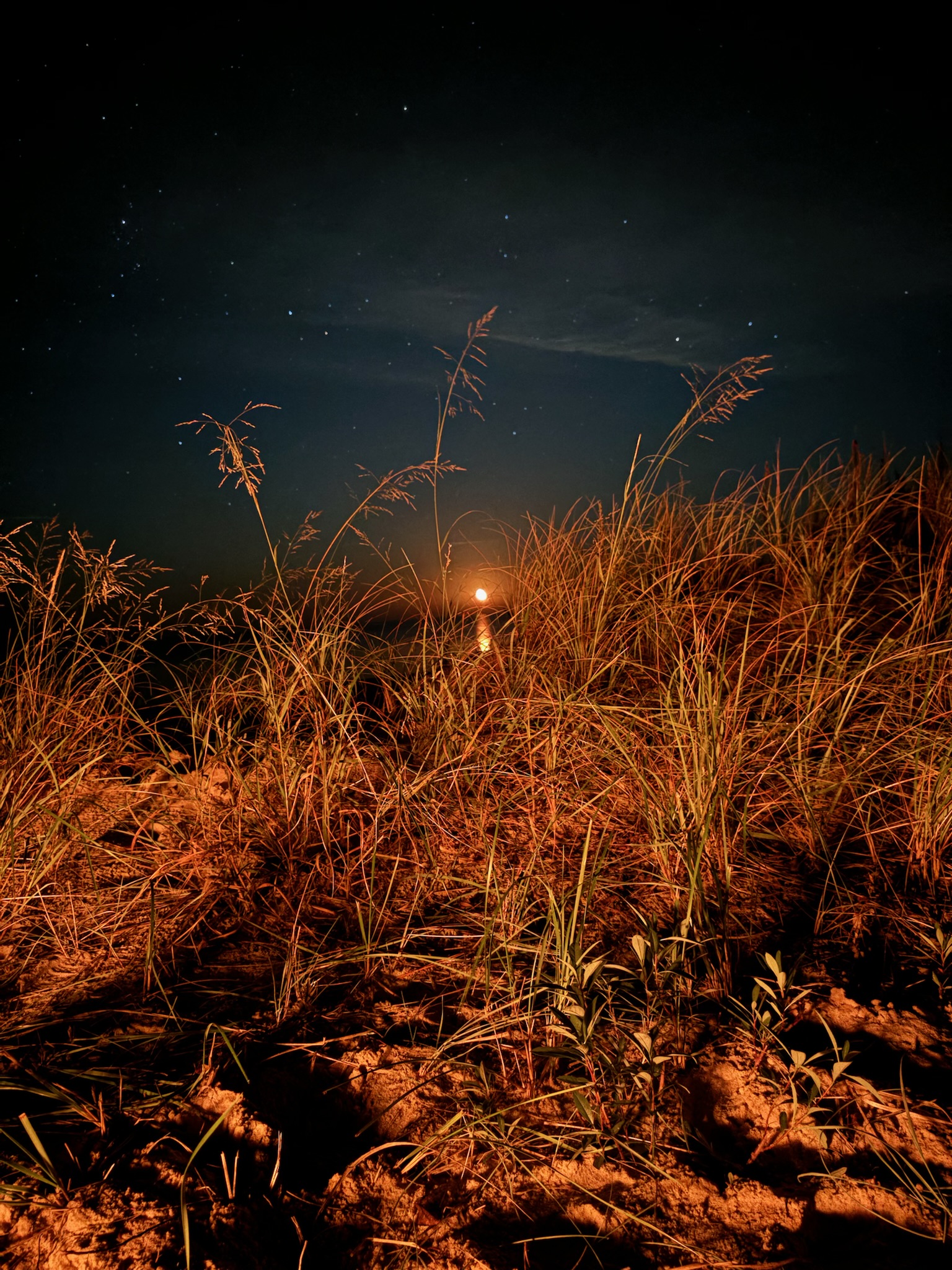 Night Sky 1
