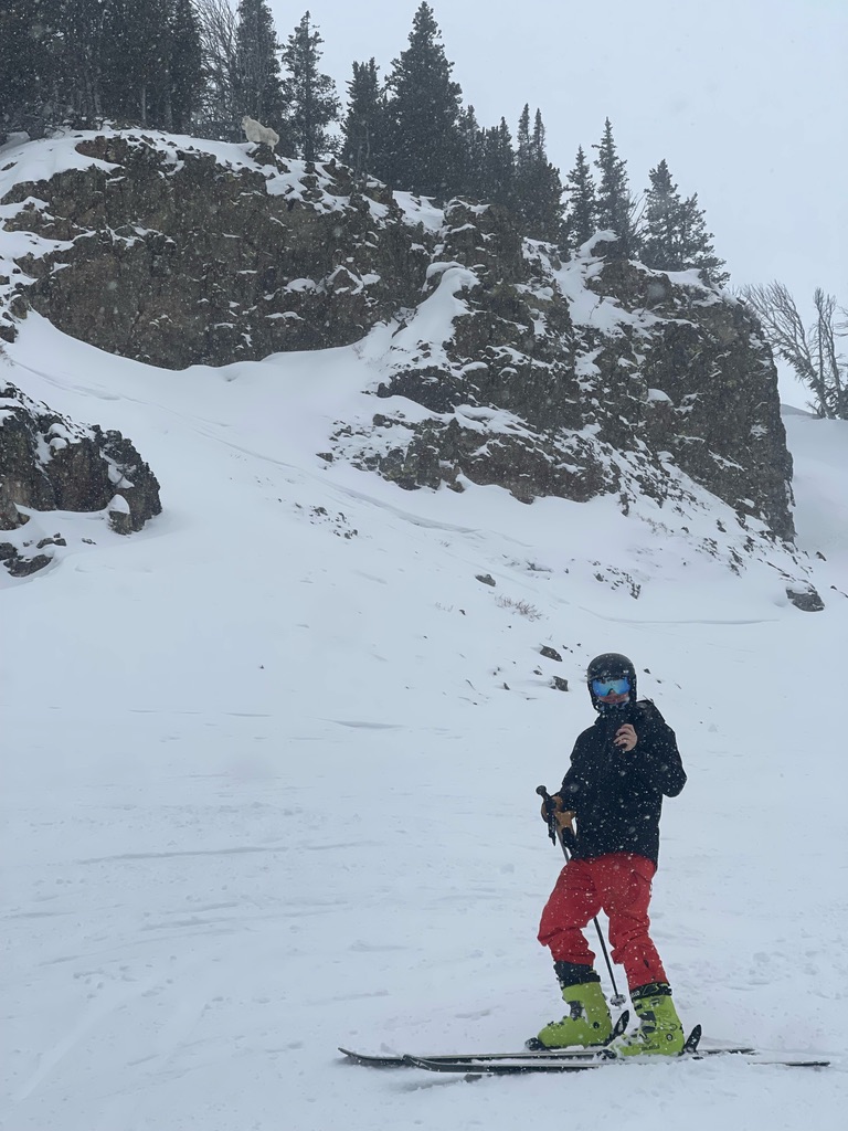 Ski