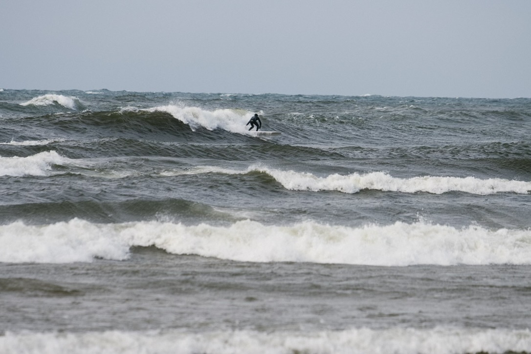 Surf